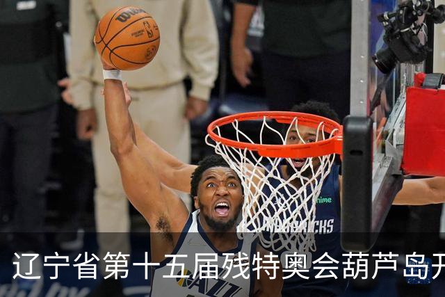 辽宁省第十五届残特奥会葫芦岛开赛 356名健儿参与角逐